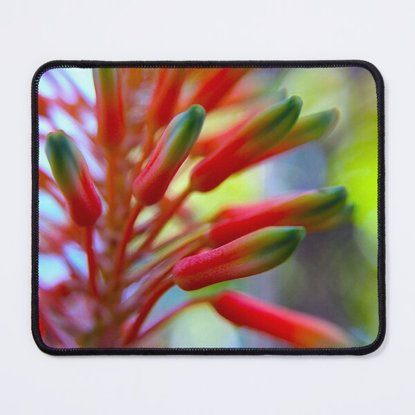Item preview, Flow designed and sold by equilibrio.