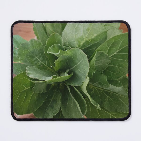 Item preview, Leftover collards designed and sold by AnnieSquares.