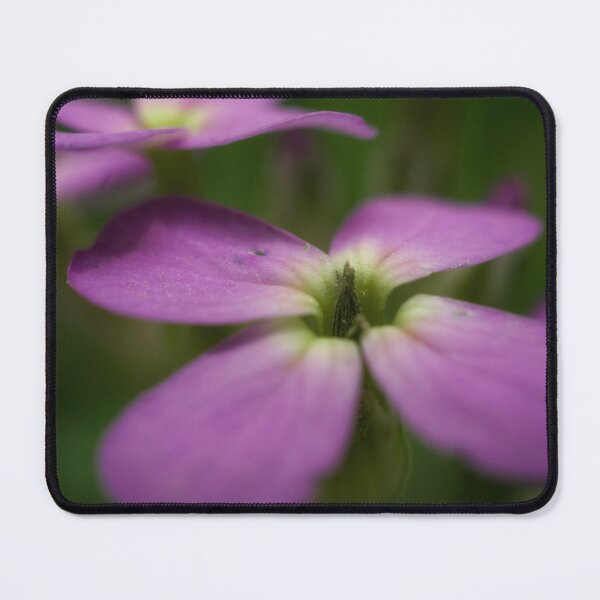Item preview, Smelling flowers designed and sold by mfsphotographs.