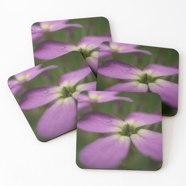Item preview, Smelling flowers designed and sold by mfsphotographs.