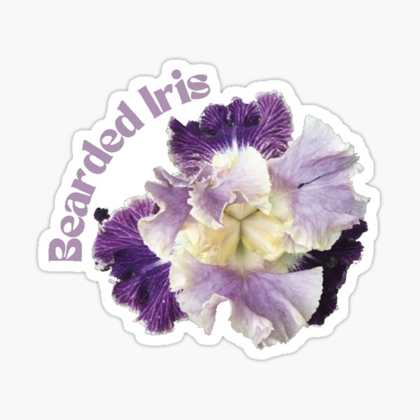 Item preview, Purple Bearded Iris/ Purple Text designed and sold by ColordCreations.