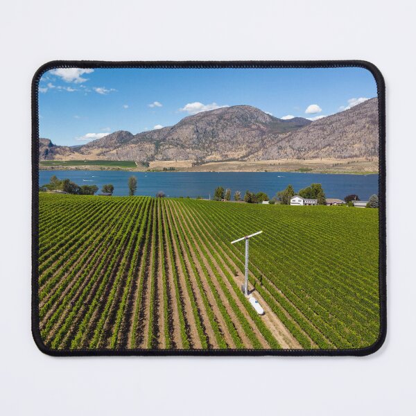 Item preview, Okanagan Valley British Columbia Winery Vineyard Landscape designed and sold by Kevin Miller Photography.