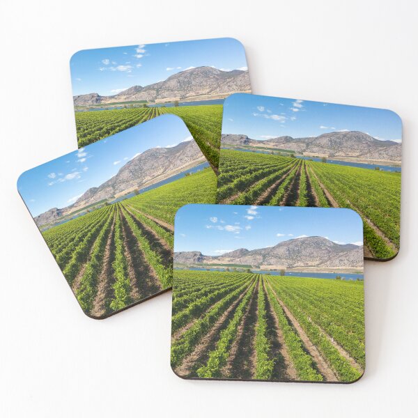 Item preview, Okanagan Valley British Columbia Winery Vineyard Landscape designed and sold by Kevin Miller Photography.