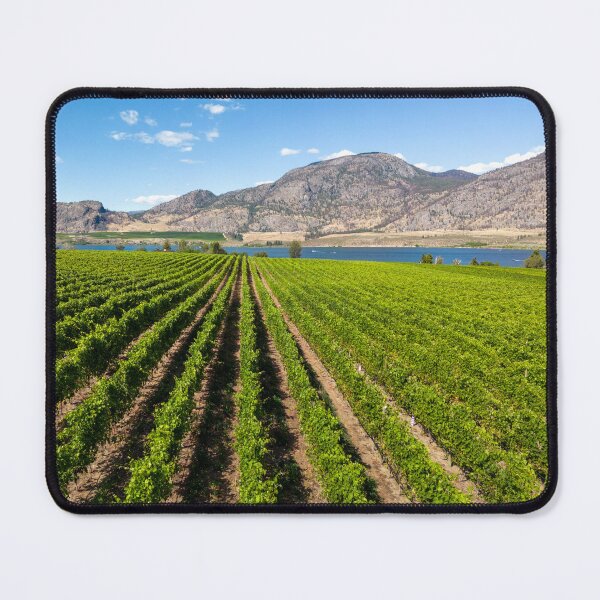 Item preview, Okanagan Valley British Columbia Winery Vineyard Landscape designed and sold by Kevin Miller Photography.