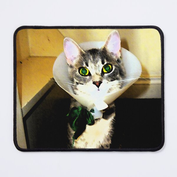 Item preview, Filtered photograph elegant cat with ruff designed and sold by Carré Comme Orange.