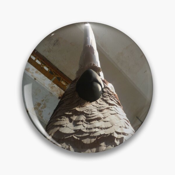 Item preview, Parrot photography from low angle designed and sold by Carré Comme Orange.