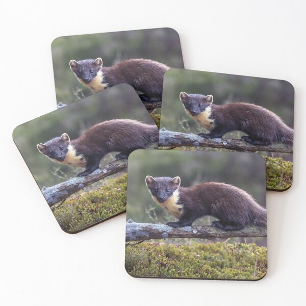 Item preview, Pine Marten designed and sold by Tom McPherson Photography.