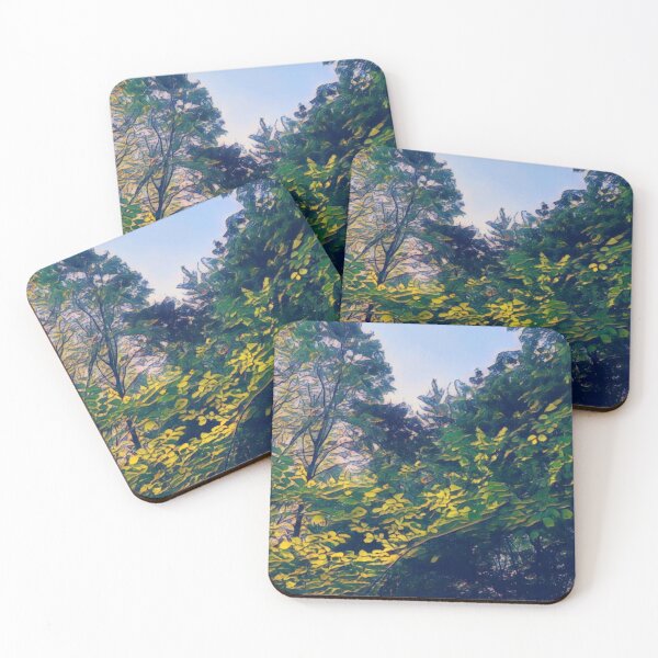 Item preview, #03 Rembrandt Park - Amsterdam - Street Photography 24 May 2024 designed and sold by IntFix.