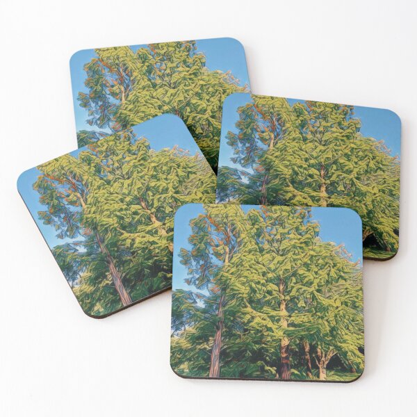 Item preview, #05 Rembrandt Park - Amsterdam - Street Photography 24 May 2024 designed and sold by IntFix.