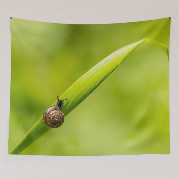 Item preview, Snail designed and sold by Katja LebenFreude.