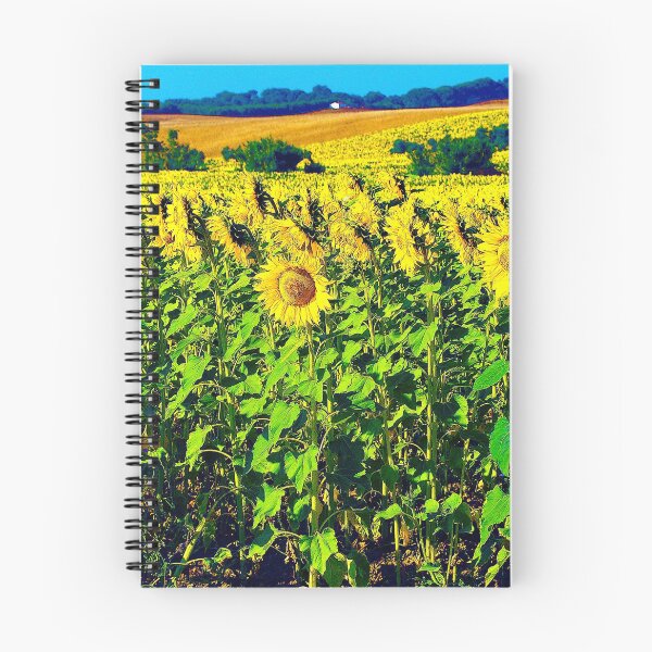 Item preview, Spanish sunflower field designed and sold by keithmilligan.