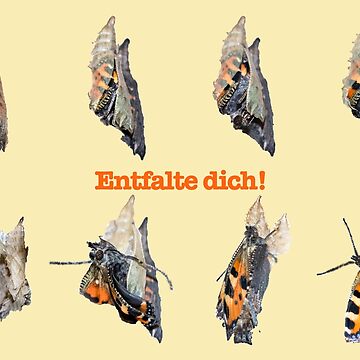 Vorschaubild zum Design Metamorphose von Katja LebenFreude