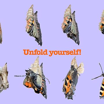 Vorschaubild zum Design Metamorphose Schmetterling Kleiner Fuchs von Katja LebenFreude