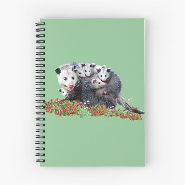 Item preview, Cute opossum family |  possum opossums  designed and sold by TeeARTHY.