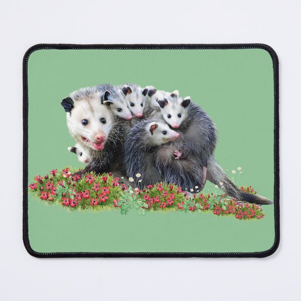 Item preview, Cute opossum family |  possum opossums  designed and sold by TeeARTHY.