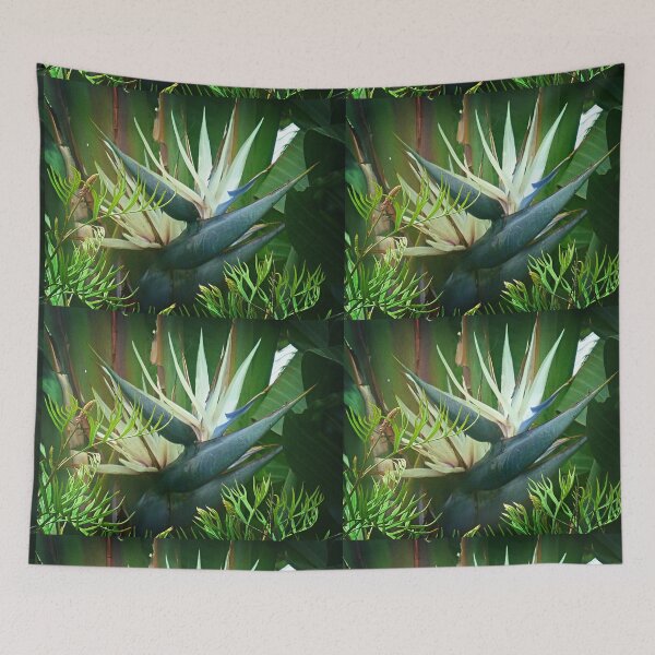 Item preview, Giant Strelitzia in garden. 2018. Vic; Australia  designed and sold by EdsMum.