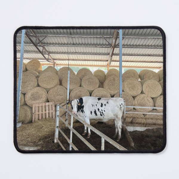 Item preview, Menorca cow farm designed and sold by CCanelaG.