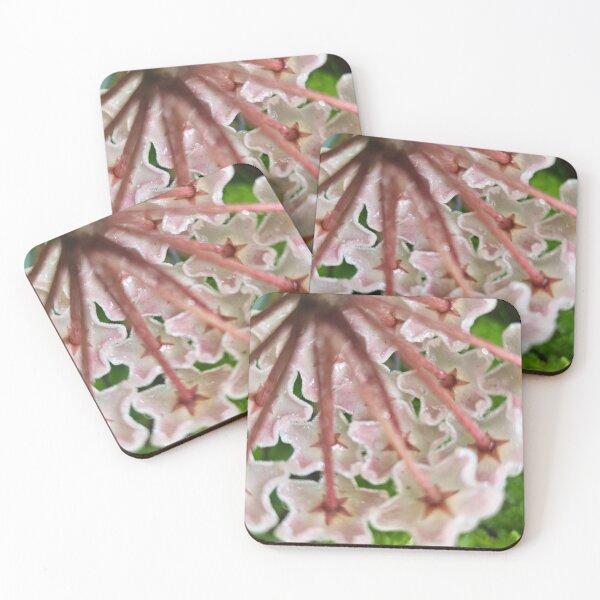 Item preview, Hoya designed and sold by AnnieSquares.
