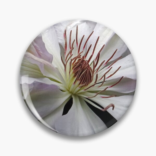 Item preview, Hints Of Purple Clematis designed and sold by Deb Oppermann.