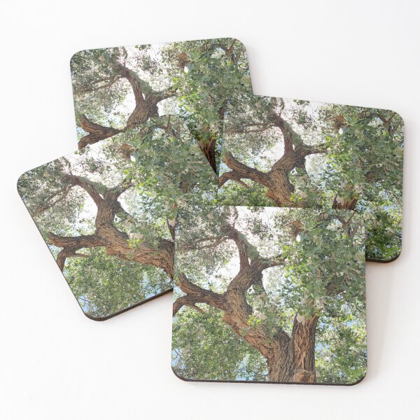 Item preview, Cottonwood Tree designed and sold by River Graphic Design.