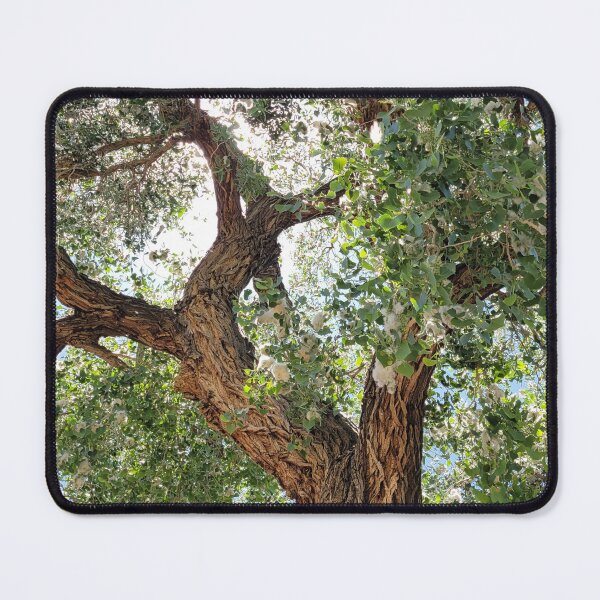 Item preview, Cottonwood Tree designed and sold by River Graphic Design.