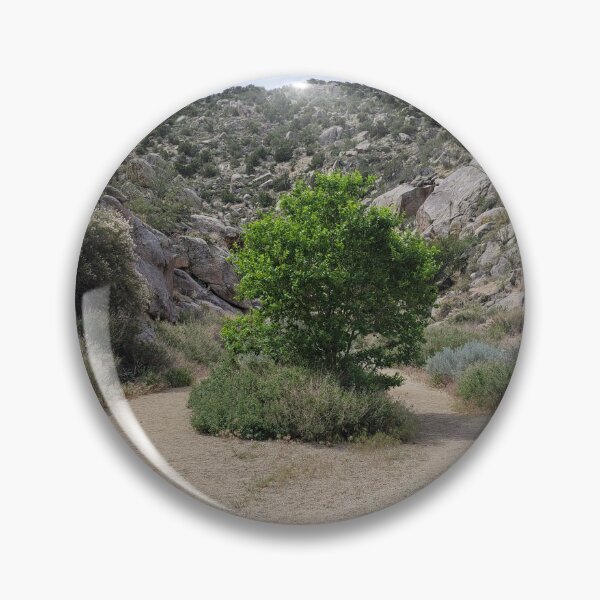 Item preview, Trees in a dried up riverbed designed and sold by River Graphic Design.