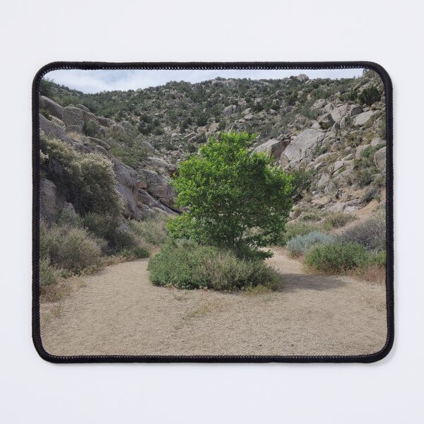 Item preview, Trees in a dried up riverbed designed and sold by River Graphic Design.