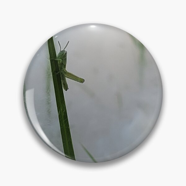 Item preview, Grasshopper on the Grass through the Cottonwood Seeds designed and sold by River Graphic Design.
