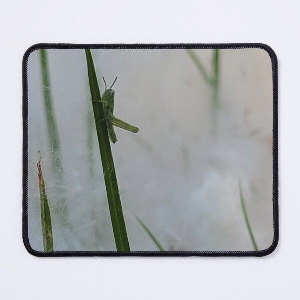 Item preview, Grasshopper on the Grass through the Cottonwood Seeds designed and sold by River Graphic Design.