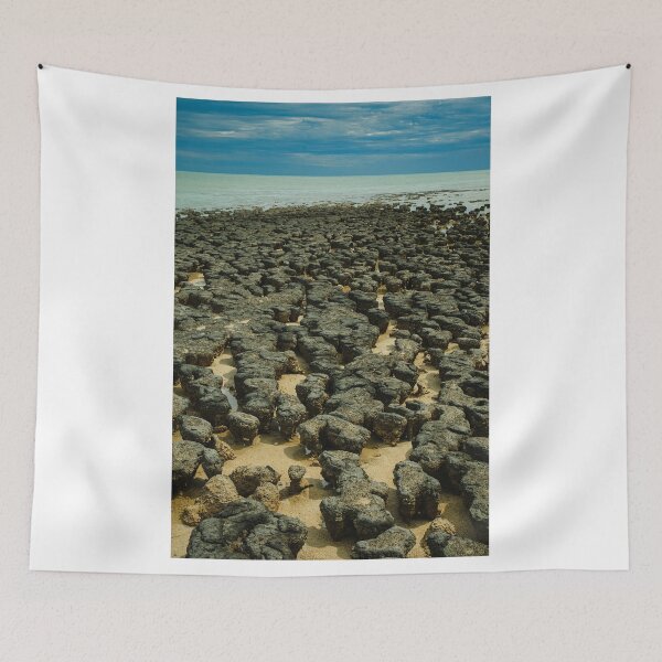Item preview, More Ancient Stromatolites designed and sold by photograham.