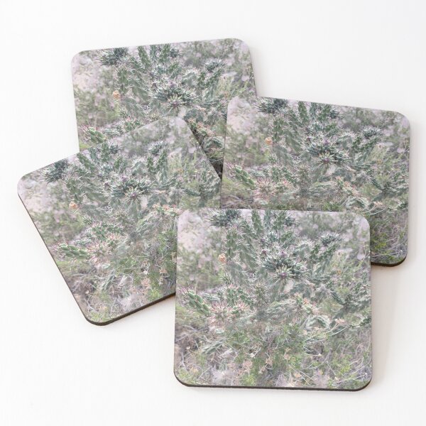 Item preview, Cholla Cactus and Apache Plumes designed and sold by River Graphic Design.