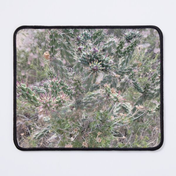 Item preview, Cholla Cactus and Apache Plumes designed and sold by River Graphic Design.