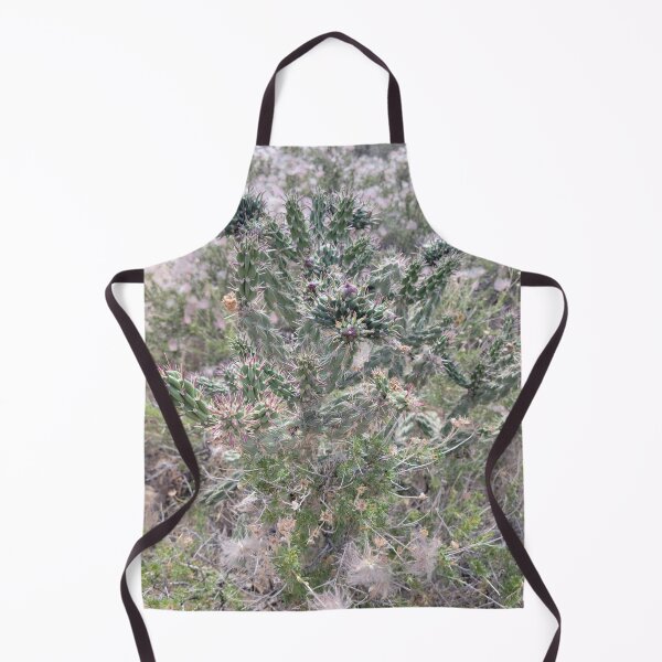 Item preview, Cholla Cactus and Apache Plumes designed and sold by River Graphic Design.