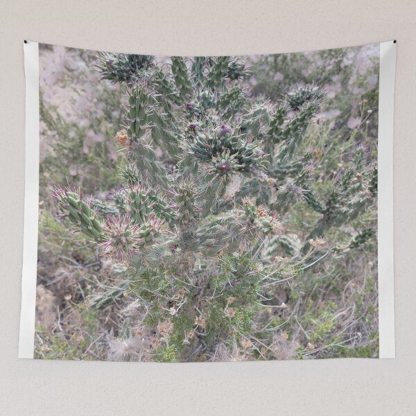 Item preview, Cholla Cactus and Apache Plumes designed and sold by River Graphic Design.