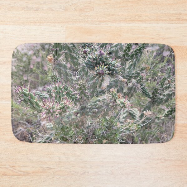 Item preview, Cholla Cactus and Apache Plumes designed and sold by River Graphic Design.