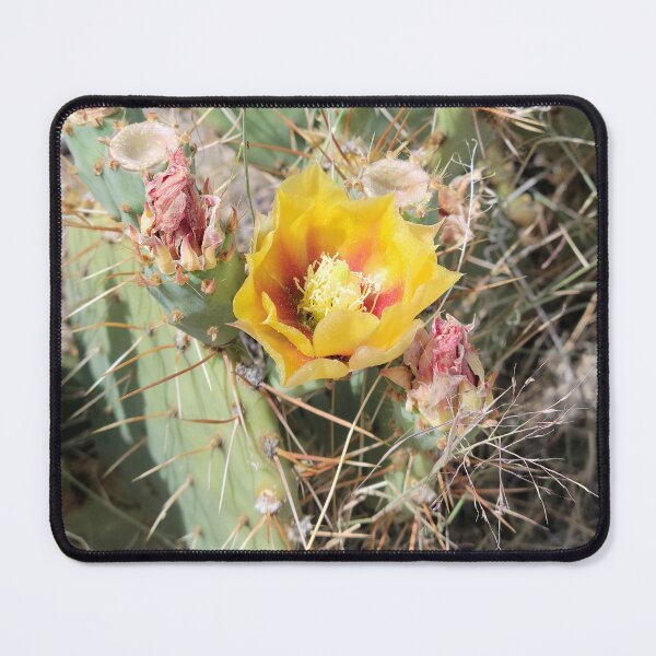Item preview, Prickly Pear Blossoms designed and sold by River Graphic Design.