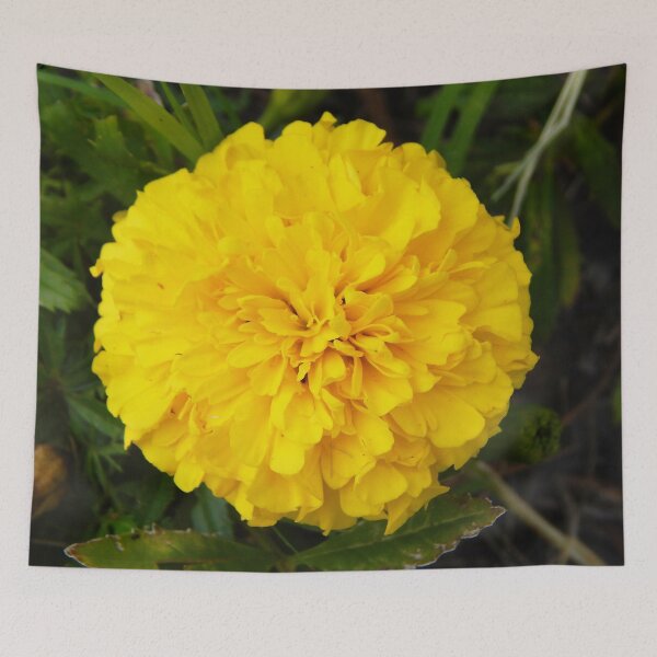 Item preview, Yellow Mum designed and sold by gistinker.