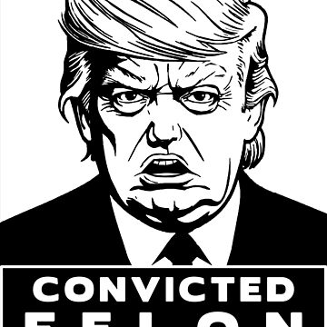 Artwork thumbnail, Donald Trump is a Convicted Felon Pro Justice Gear by EthosWear