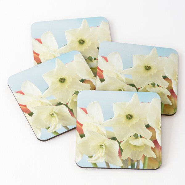 Item preview, Narcissus  'Green Eyed Lady'  Small-cupped  Daffodil   designed and sold by Chris Burrows.
