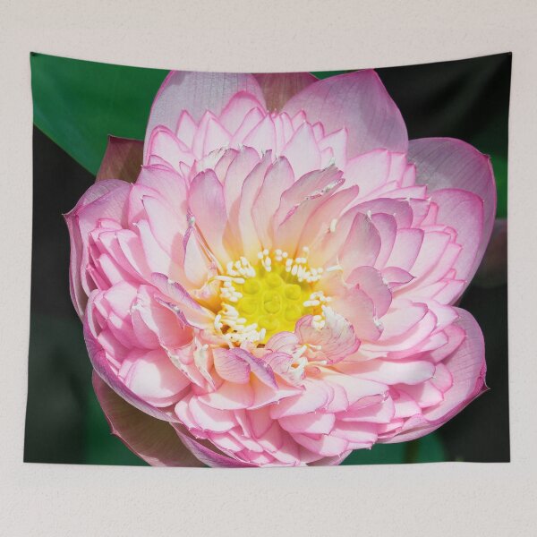 Item preview, Floating Serenity: The Lotuses of Ninh Binh, Vietnam designed and sold by franck380.