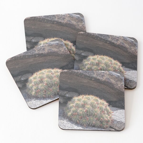 Item preview, Cactus growing in rock designed and sold by River Graphic Design.