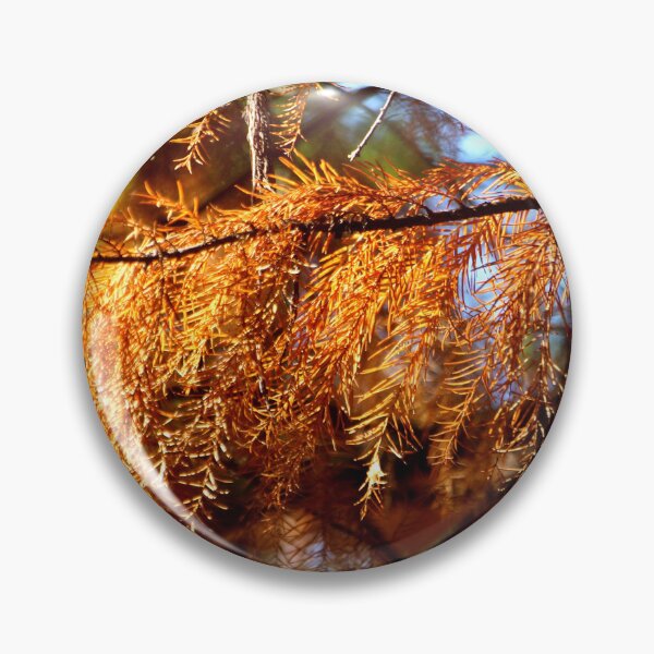 Item preview, Pine Branch With Golden Brown Needles designed and sold by Designsbygroovy.