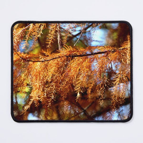 Item preview, Pine Branch With Golden Brown Needles designed and sold by Designsbygroovy.