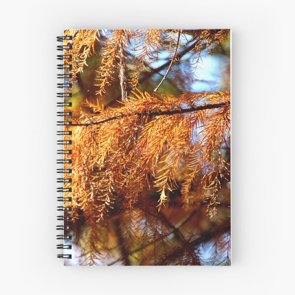 Item preview, Pine Branch With Golden Brown Needles designed and sold by Designsbygroovy.