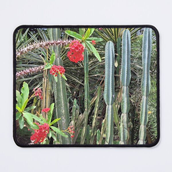Item preview, Cactus with flowers designed and sold by serenedesign.