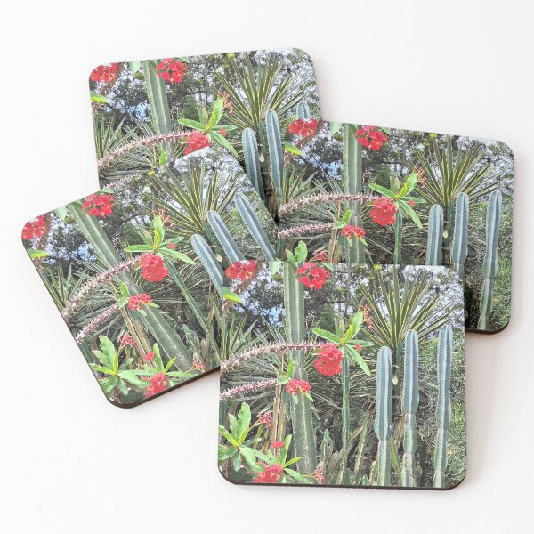 Item preview, Cactus with flowers designed and sold by serenedesign.