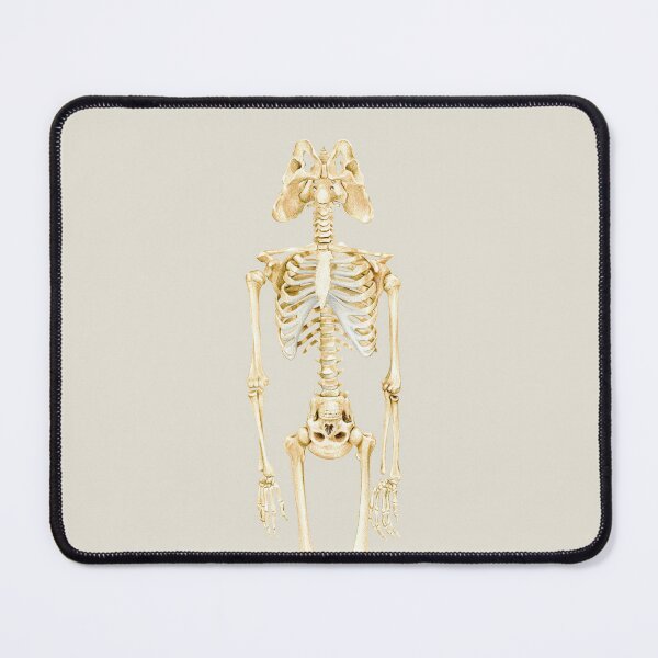 Item preview, upside down skeleton skull designed and sold by Emma Cheng.