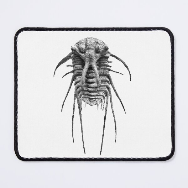 Item preview, Trilobite designed and sold by ArtShare.