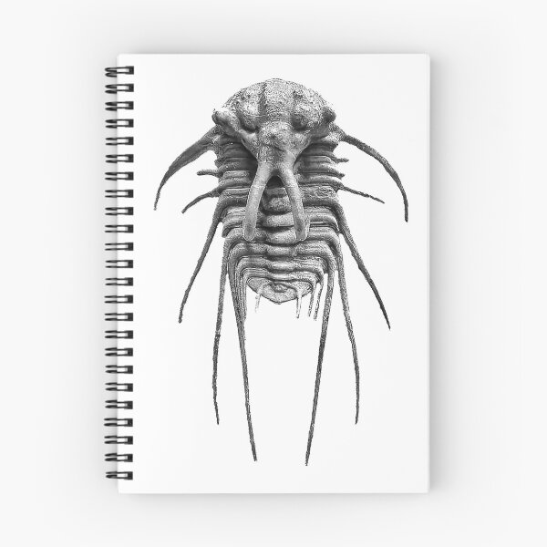 Item preview, Trilobite designed and sold by ArtShare.
