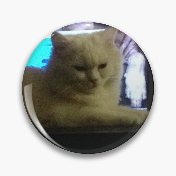 Item preview, CAT, turkish angora, calm,  designed and sold by Prashant0206.